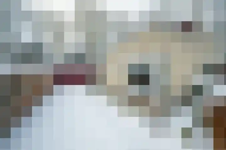 Bavelselaan 331 Breda thumbnail 8