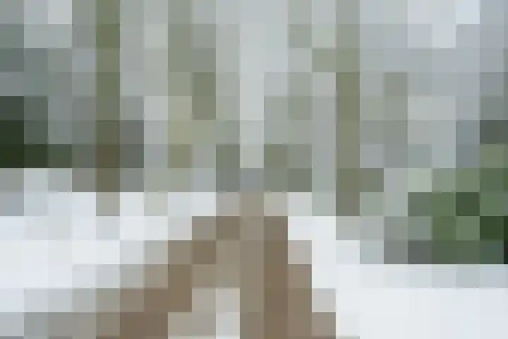 Bavelselaan 331 Breda thumbnail 82