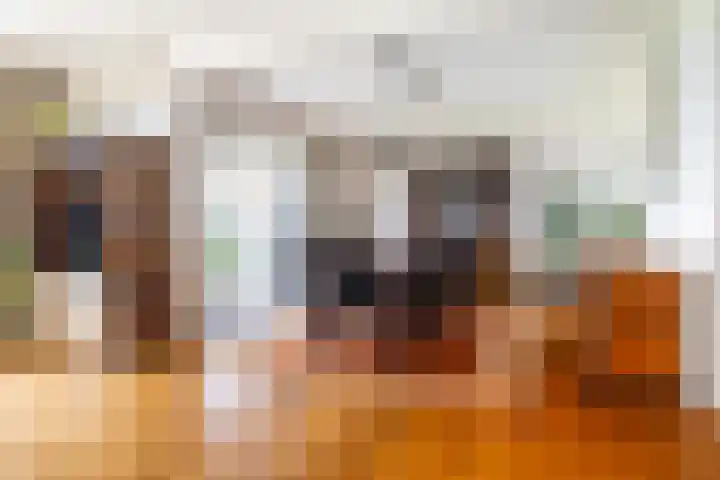 Bavelselaan 418 Breda thumbnail 10