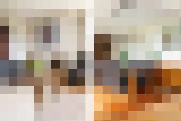 Bavelselaan 418 Breda thumbnail 13