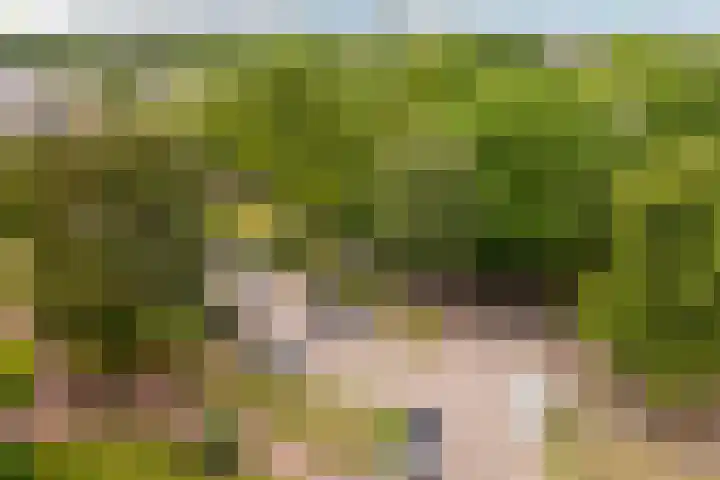Bavelselaan 418 Breda thumbnail 31