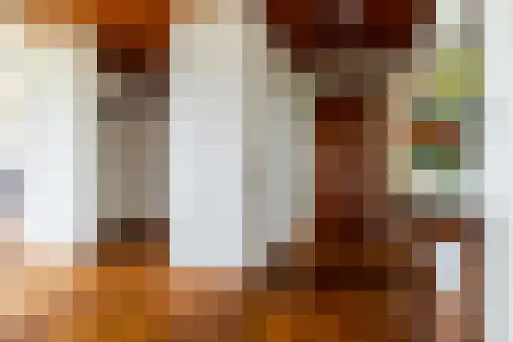 Bavelselaan 418 Breda thumbnail 4