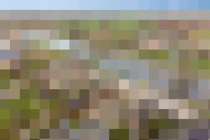 Bazeldijk 32 Meerkerk thumbnail 10