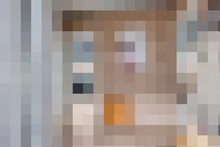 Bazeldijk 32 Meerkerk thumbnail 17