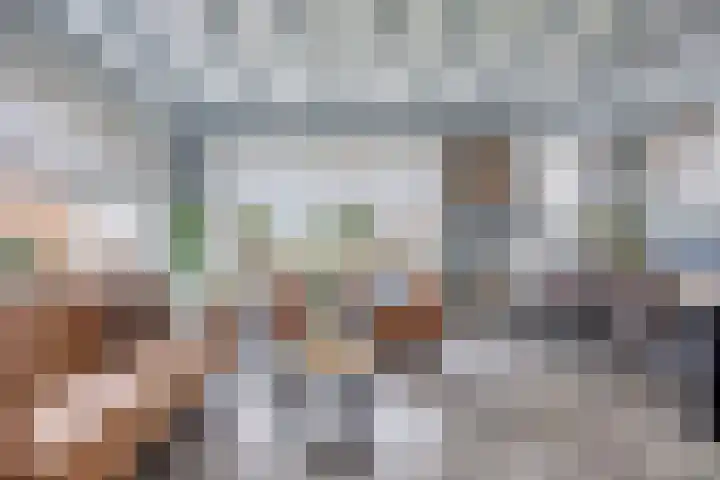 Bazeldijk 32 Meerkerk thumbnail 21