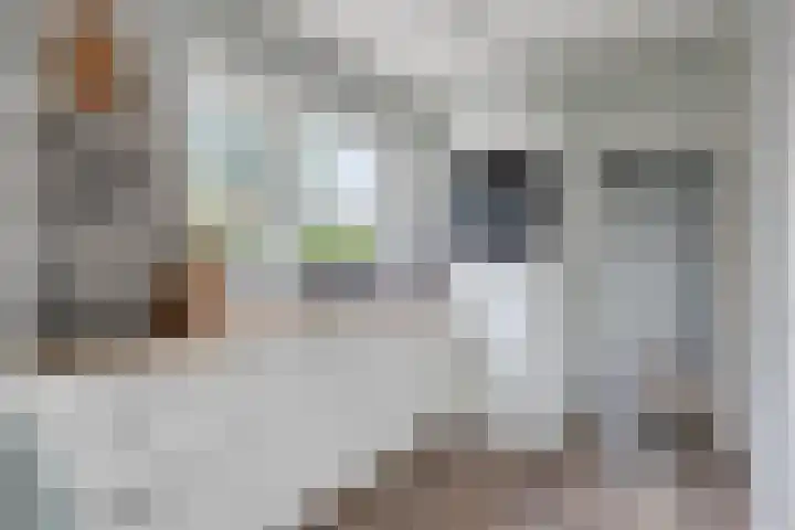 Bazeldijk 32 Meerkerk thumbnail 27