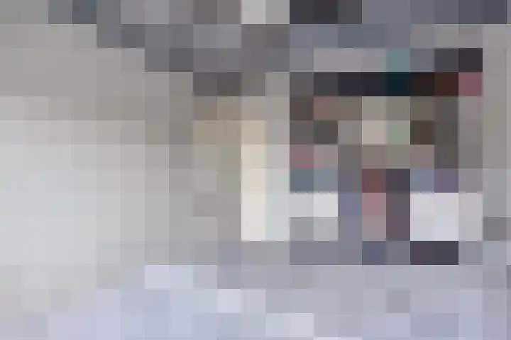 Bazeldijk 32 Meerkerk thumbnail 34