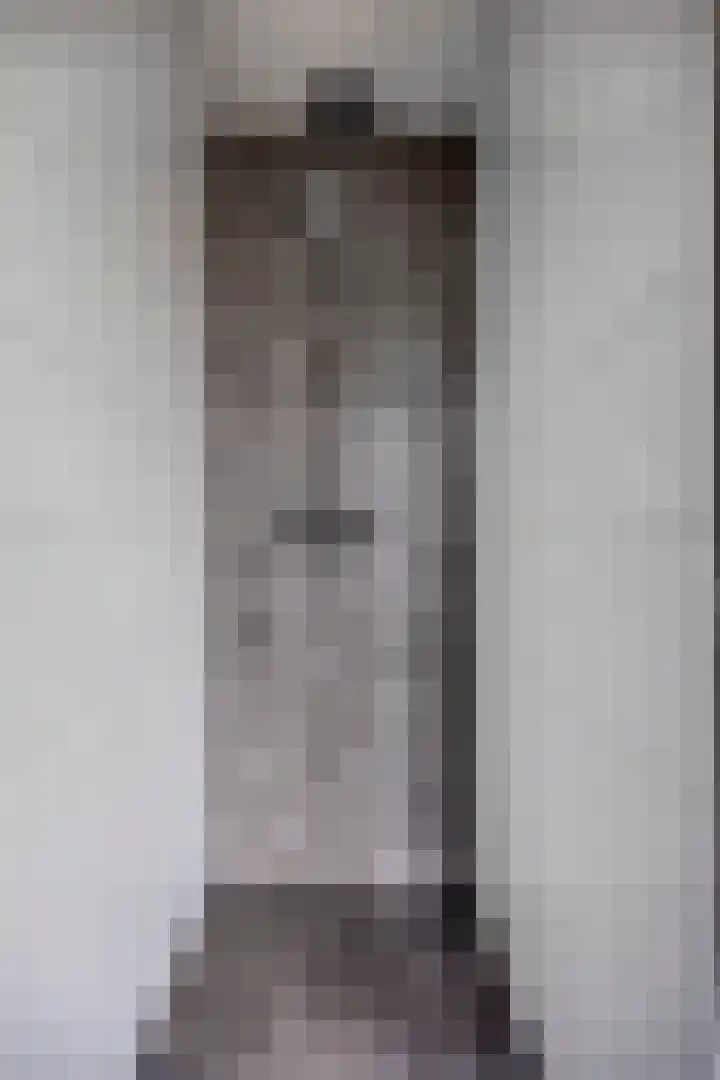 Bazeldijk 32 Meerkerk thumbnail 37