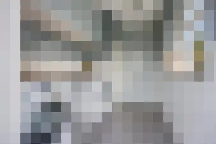 Bazeldijk 32 Meerkerk thumbnail 40
