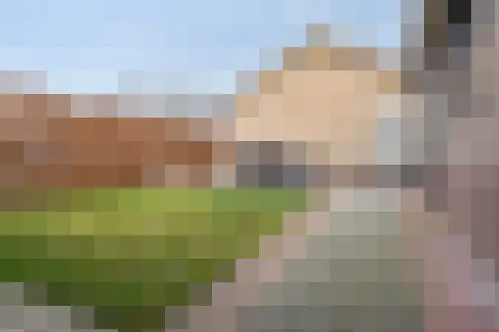 Bazeldijk 32 Meerkerk thumbnail 43
