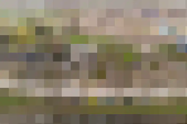 Bazeldijk 32 Meerkerk thumbnail 7