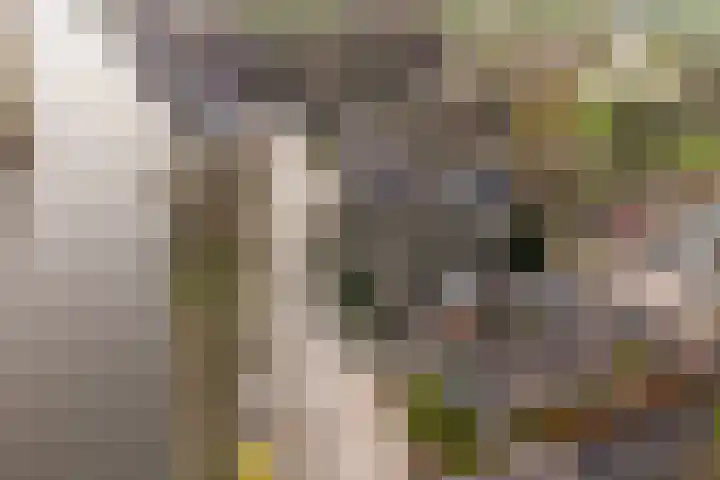 Bazeldijk 32 Meerkerk thumbnail 8