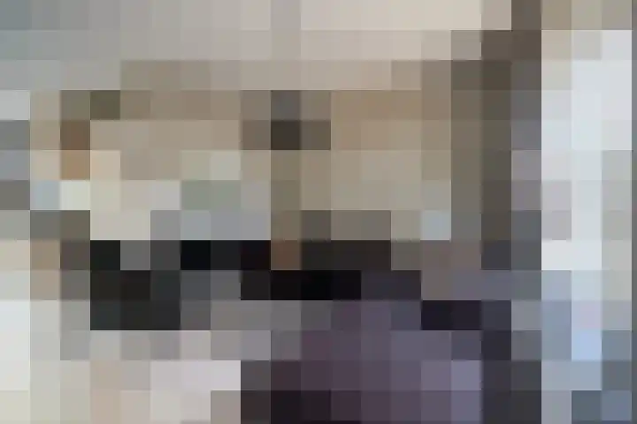 Bazuin 6 Soest thumbnail 11