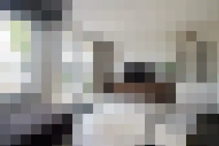 Bazuin 6 Soest thumbnail 14