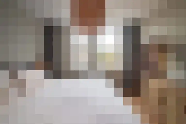 Bazuin 6 Soest thumbnail 24