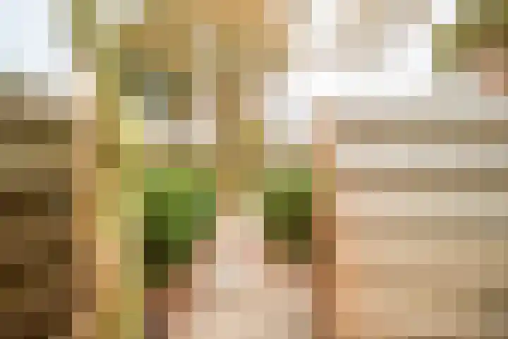 Bazuin 6 Soest thumbnail 42