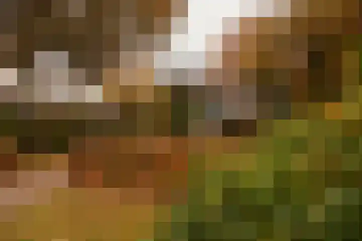 Bazuin 6 Soest thumbnail 45