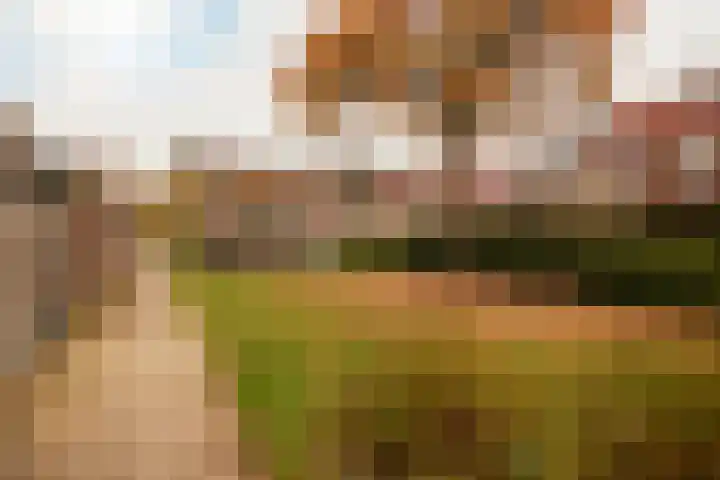 Bazuin 6 Soest thumbnail 47