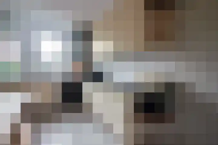 Bazuin 6 Soest thumbnail 7