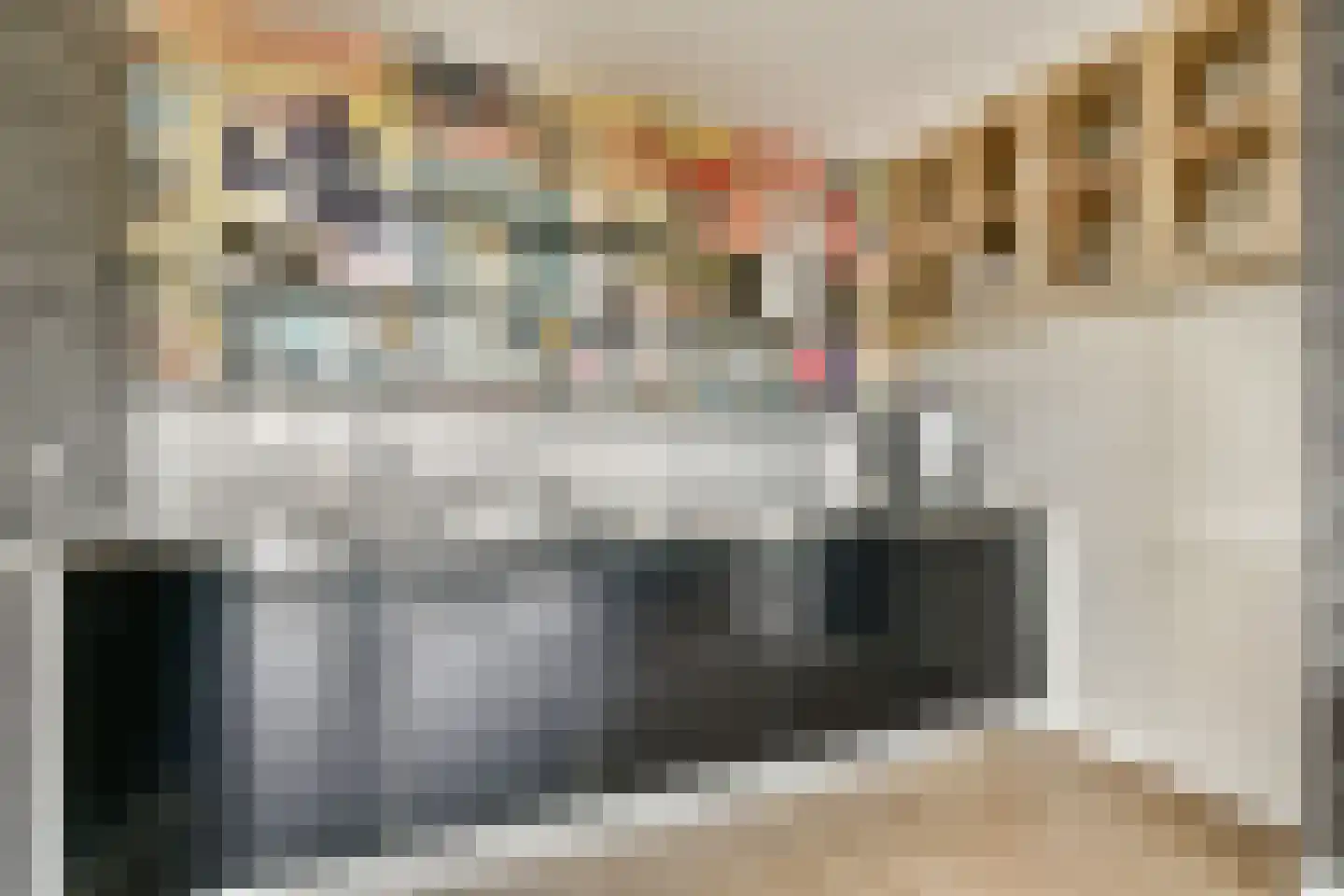 Bazuinlaan 73 Rijswijk thumbnail 12