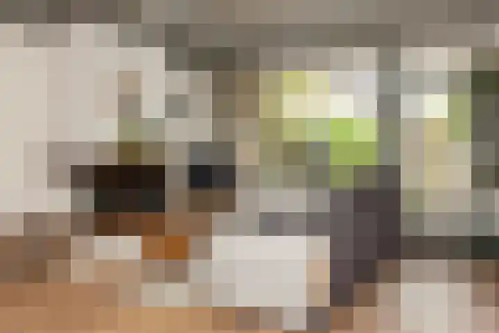 Bazuinlaan 87 Etten-Leur thumbnail 10
