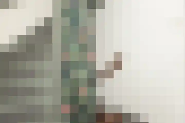 Bazuinlaan 87 Etten-Leur thumbnail 27