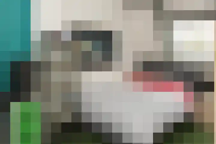 Bazuinlaan 87 Etten-Leur thumbnail 29