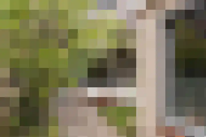 Bazuinlaan 87 Etten-Leur thumbnail 34