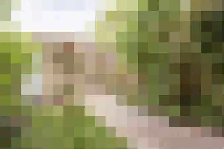 Bazuinlaan 87 Etten-Leur thumbnail 37