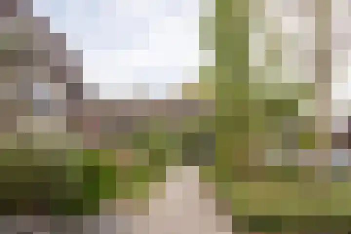 Bazuinlaan 87 Etten-Leur thumbnail 39