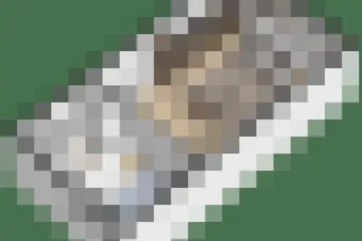 Bazuinlaan 87 Etten-Leur thumbnail 41