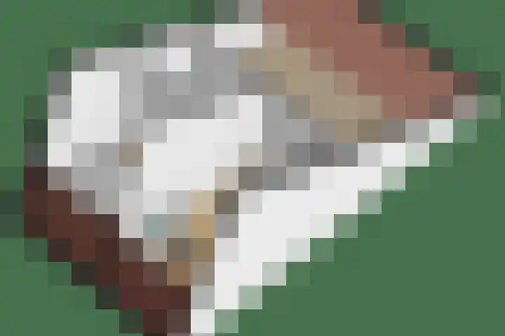 Bazuinlaan 87 Etten-Leur thumbnail 45