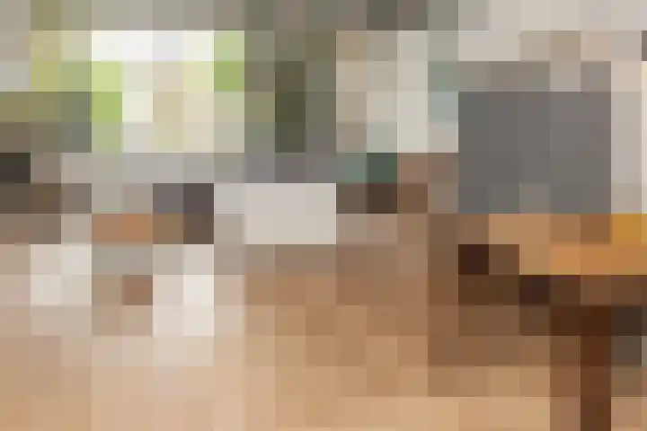 Bazuinlaan 87 Etten-Leur thumbnail 6