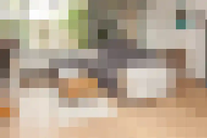 Bazuinlaan 87 Etten-Leur thumbnail 7