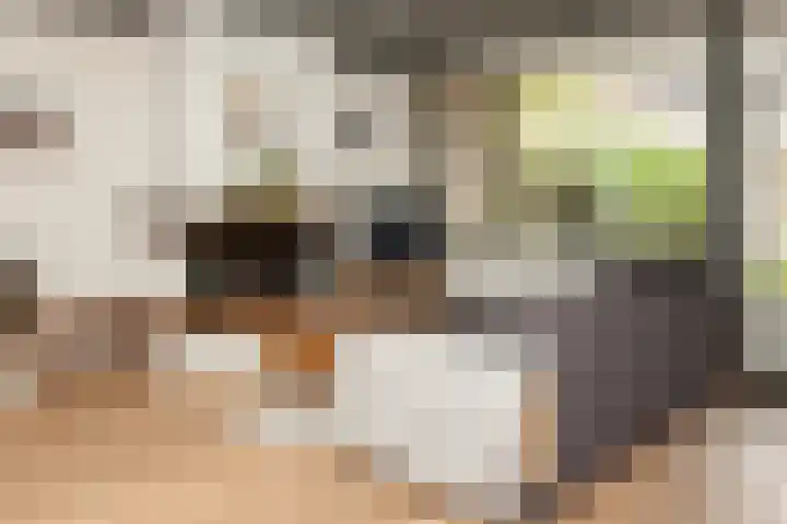 Bazuinlaan 87 Etten-Leur thumbnail 8