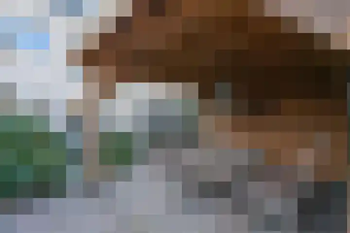 Beatlesstraat 13 Lent thumbnail 26