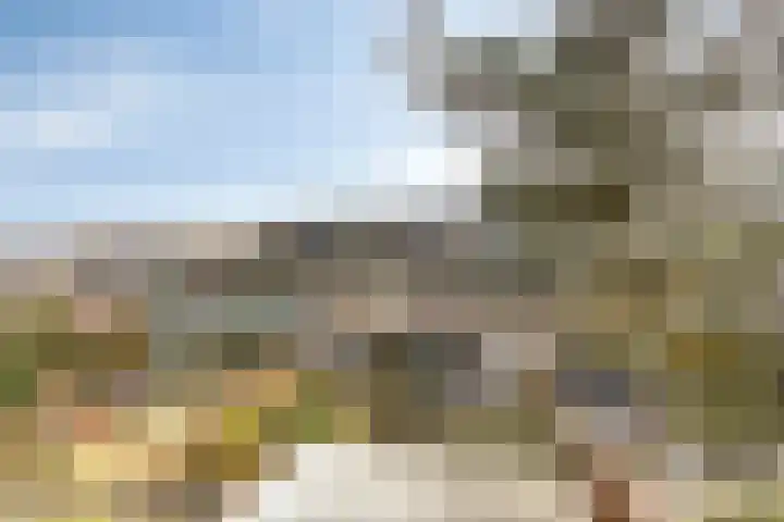Beatrix Hoeve 35 Gouda thumbnail 33