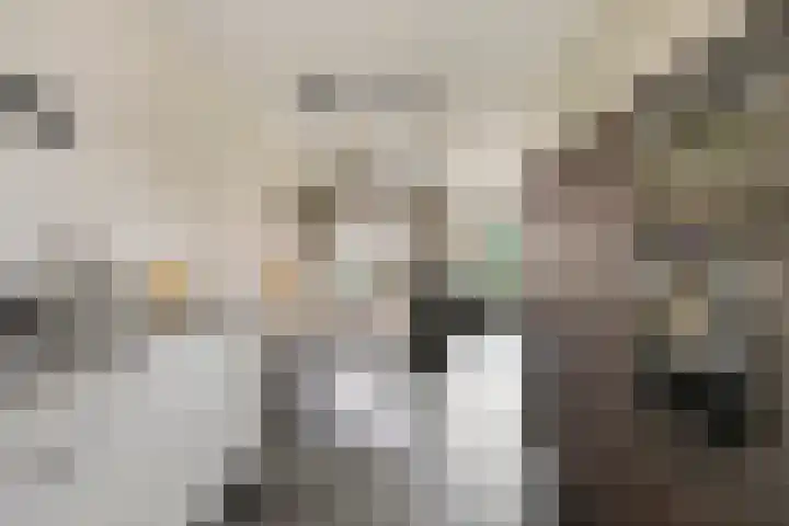 Beatrixlaan 10 Asten thumbnail 11
