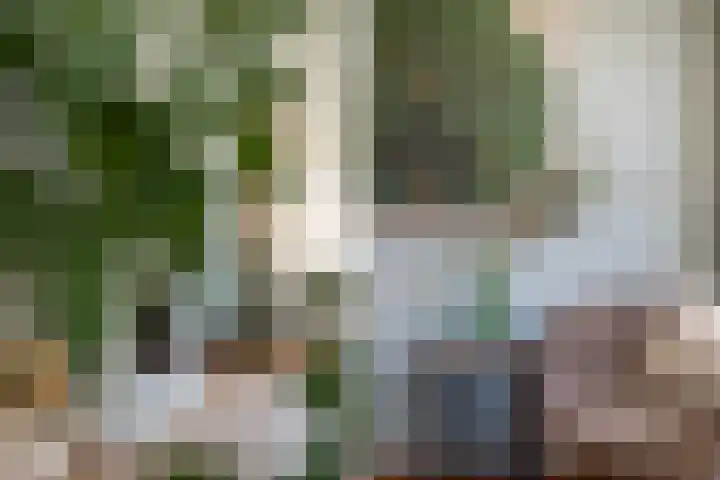 Beatrixlaan 13 Dalem thumbnail 11