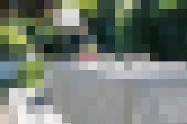 Beatrixlaan 13 Dalem thumbnail 13