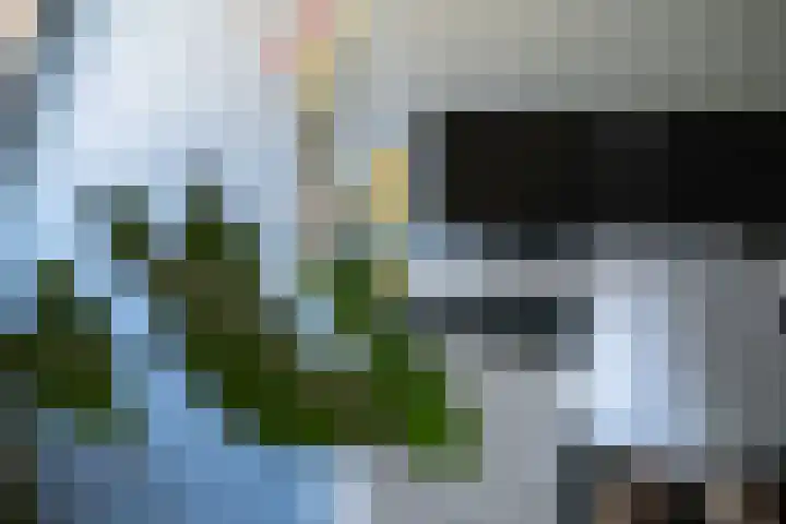 Beatrixlaan 13 Dalem thumbnail 21