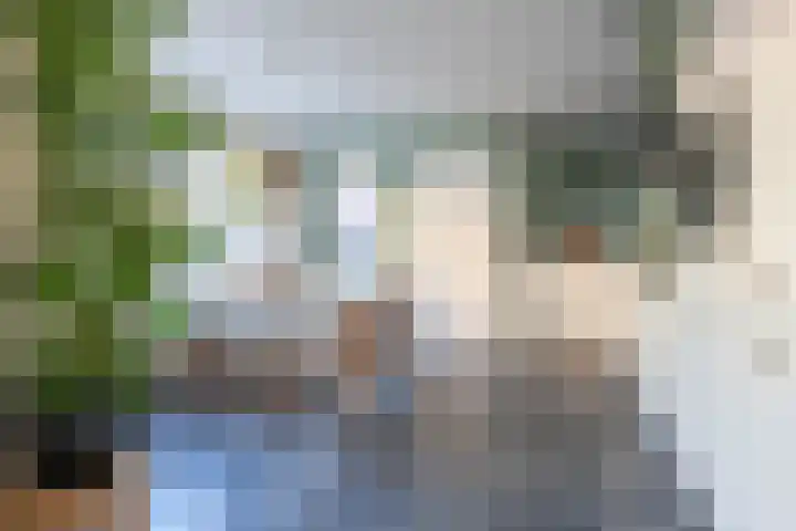 Beatrixlaan 13 Dalem thumbnail 6