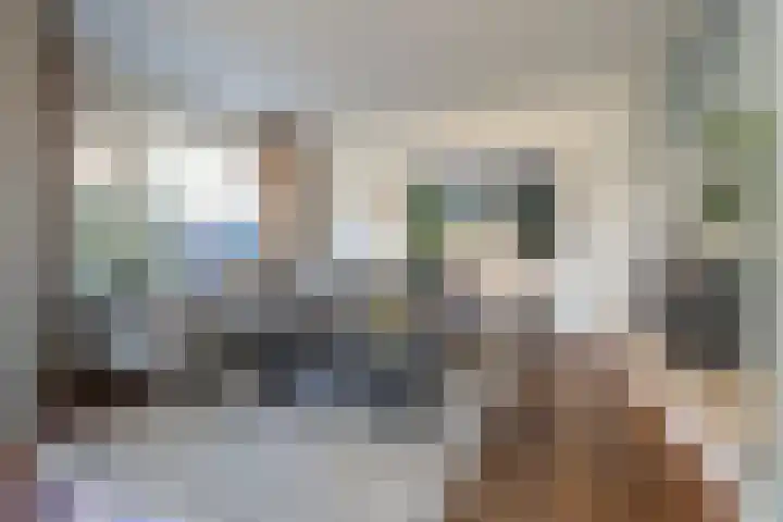 Beatrixlaan 13 Dalem thumbnail 8