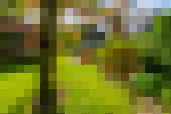 Beatrixlaan 2 Doorn thumbnail 37