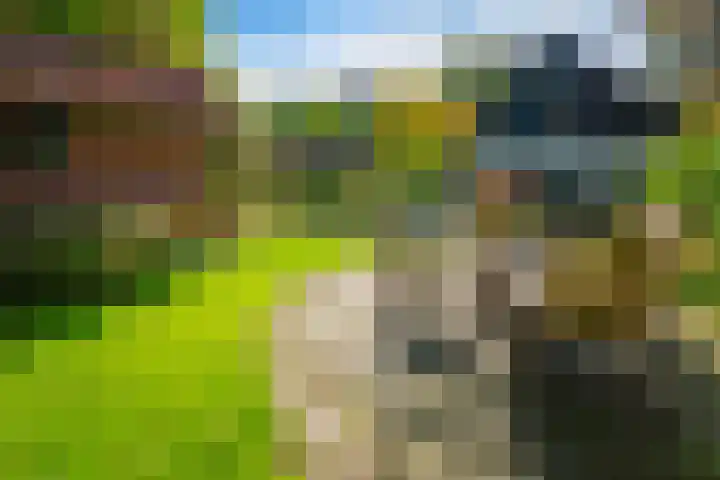 Beatrixlaan 2 Doorn thumbnail 38