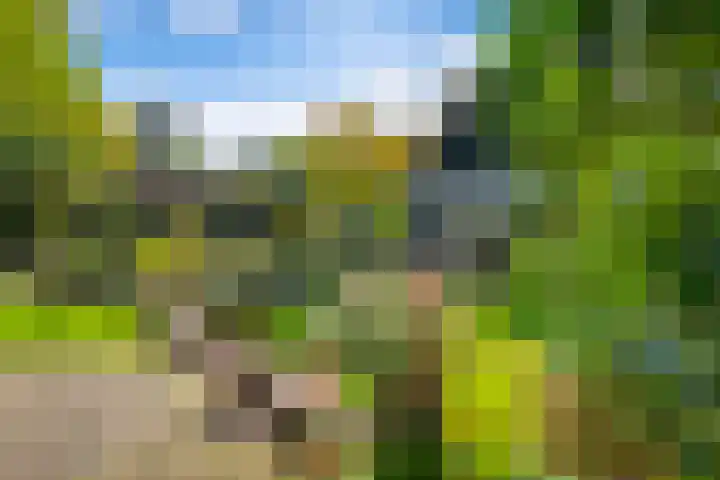 Beatrixlaan 2 Doorn thumbnail 39