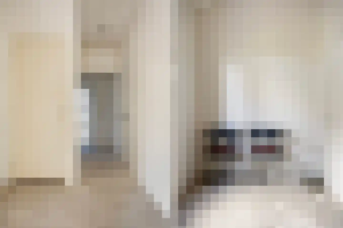 Beatrixlaan 2 Schoonebeek thumbnail 30