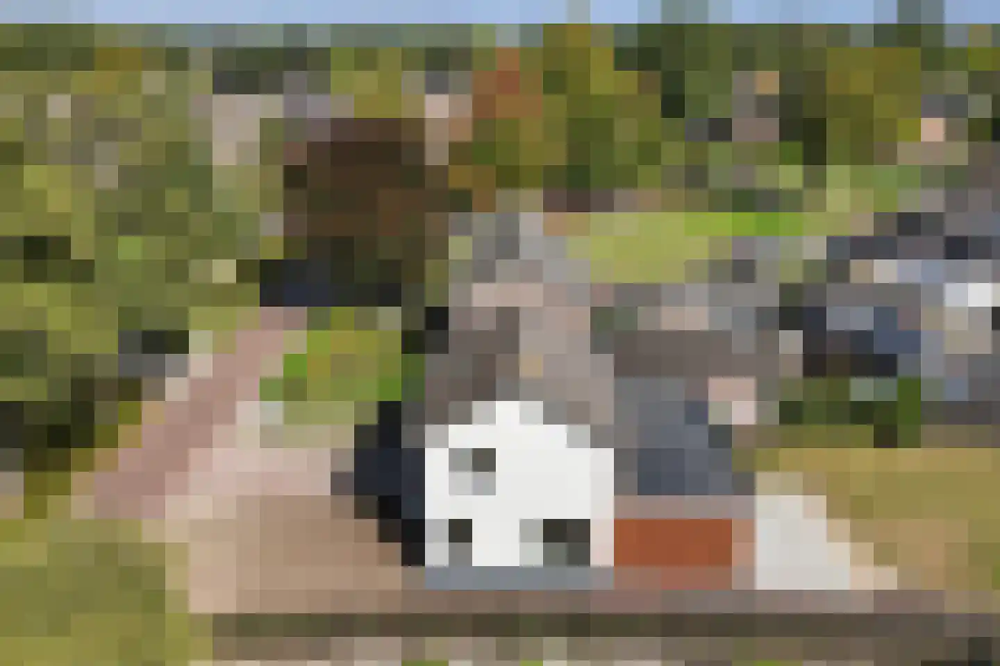 Beatrixlaan 2 Schoonebeek thumbnail 43