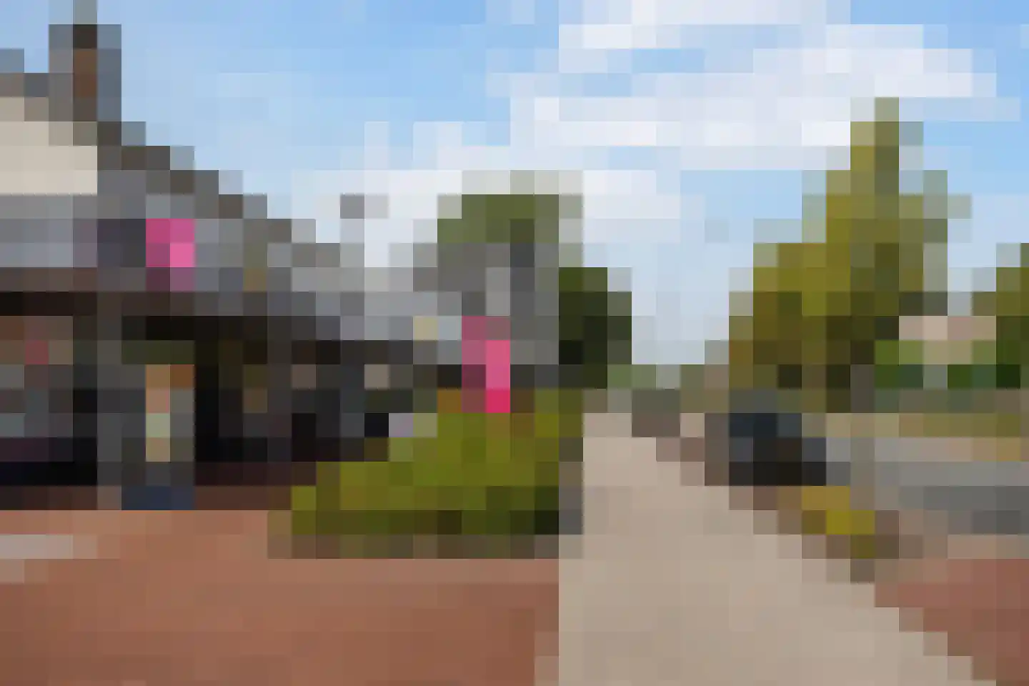 Beatrixlaan 2 Schoonebeek thumbnail 45