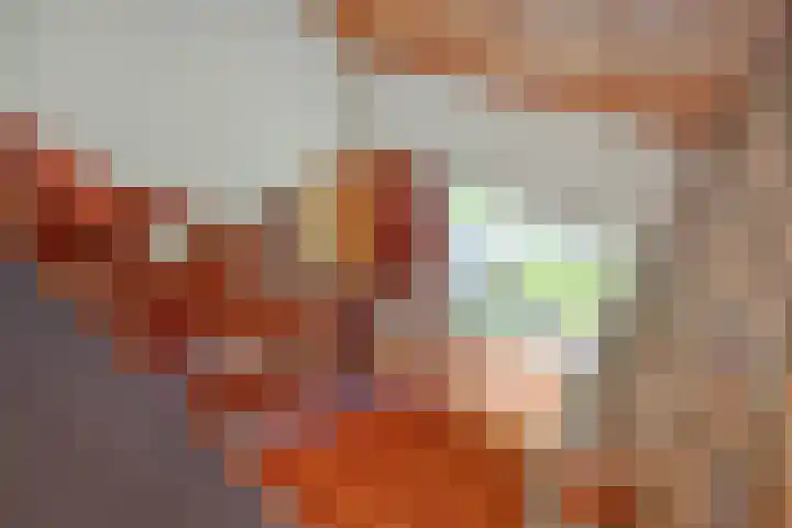 Beatrixlaan 25 Someren thumbnail 31
